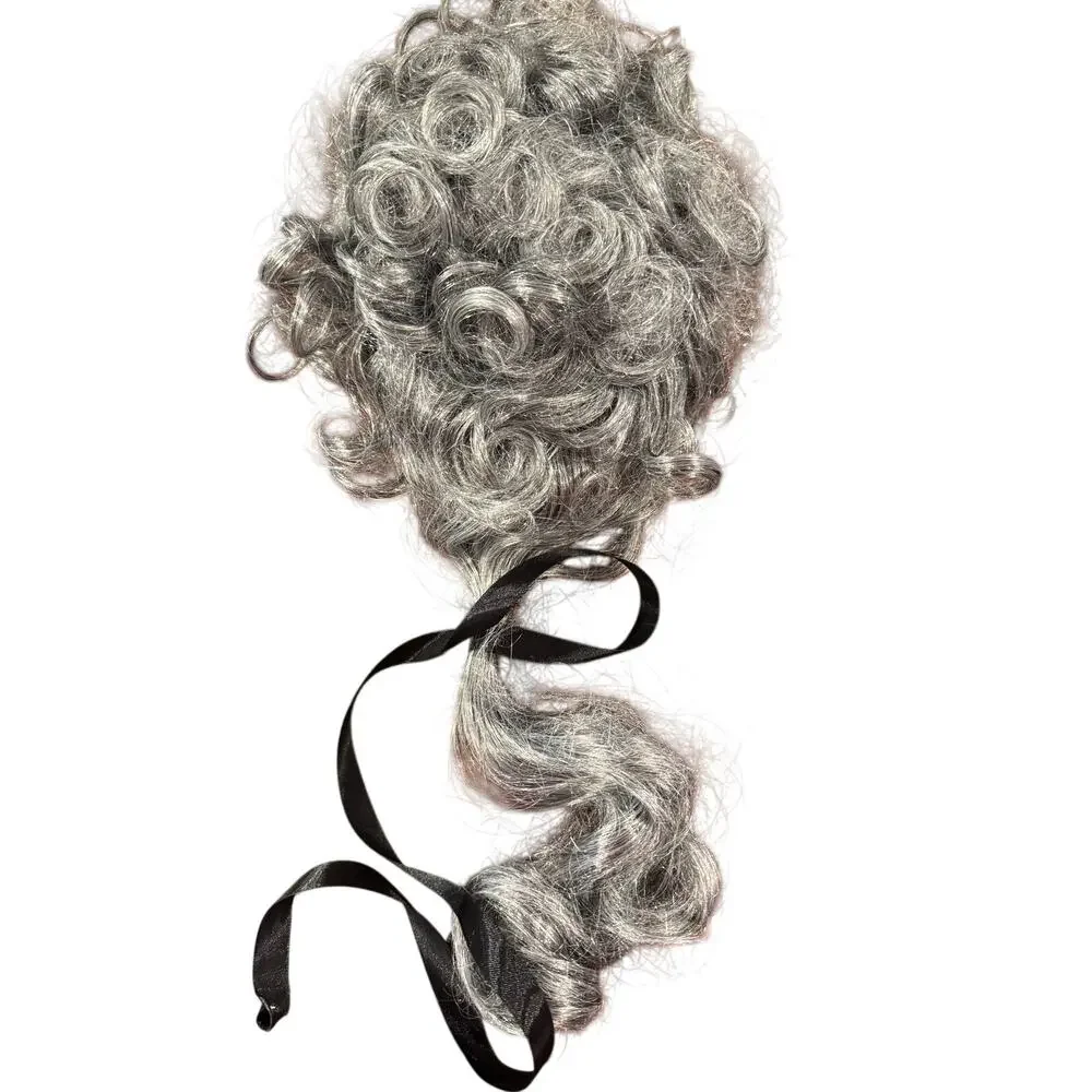 NIB Costume Wig Baroque Noblemen Aristocrat Colonial Man curly long gray hair